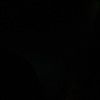 jenna_haddock